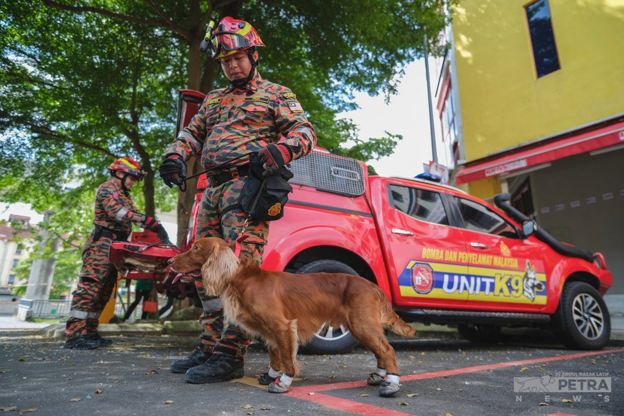 Unit Anjing Pengesan (K9) menjalankan siasatan punca kebakaran di Wisma Jakel. 