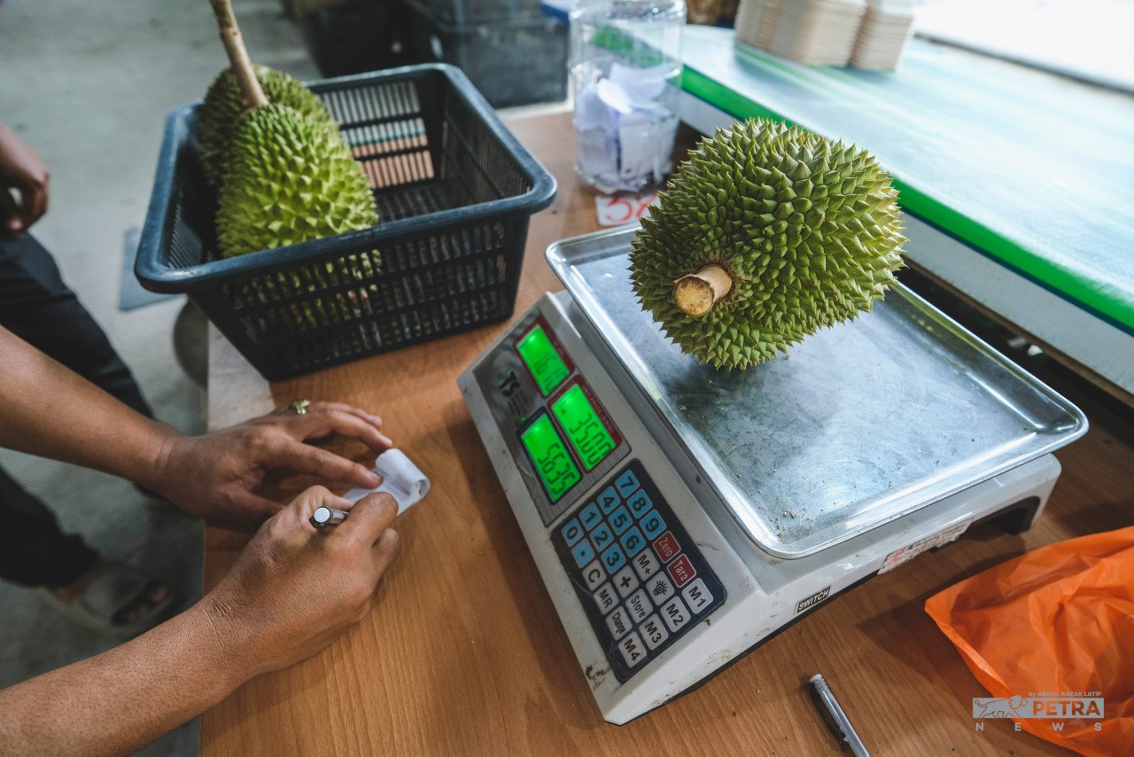 Berbanding pembelian secara dalam talian, durian yang dibeli di tepi jalan akan ditimbang sebiji bersama kulit-kulitnya sekali. - Gambar oleh Abd Razak Latif