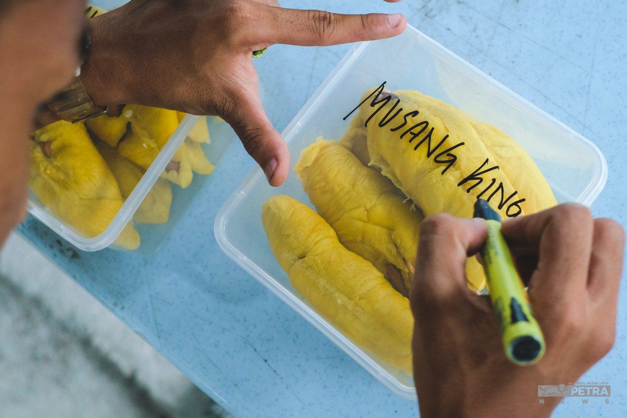 Kini durian yang dibeli boleh dikopek dan diletakkan di dalam bekas plastik bagi memudahkan pembeli untuk melupuskan kulit buah tersebut. - Gambar oleh Abd Razak Latif
