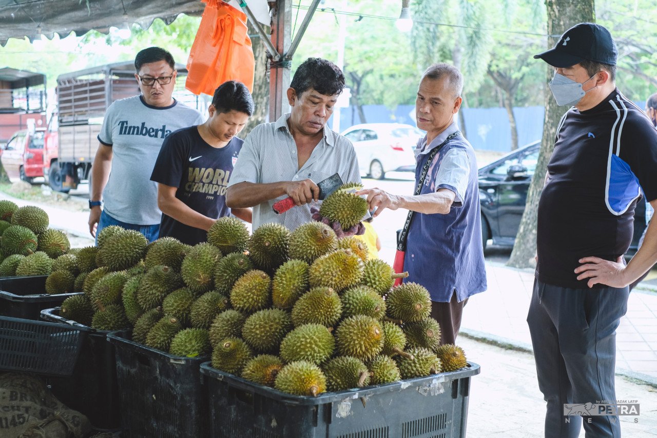 Pembeli durian tepi jalan boleh melihat isi dan kelembutan durian sebelum dibeli berbanding jika dibeli melalui dalam talian. - Gambar oleh Abd Razak Latif