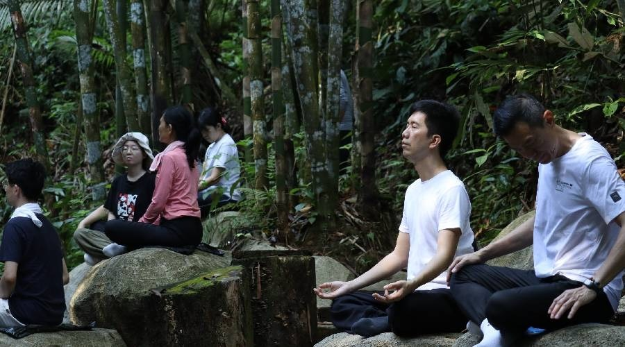 Sebahagian daripada peserta melakukan meditasi di dalam hutan. - gambar Phwah You Yang
