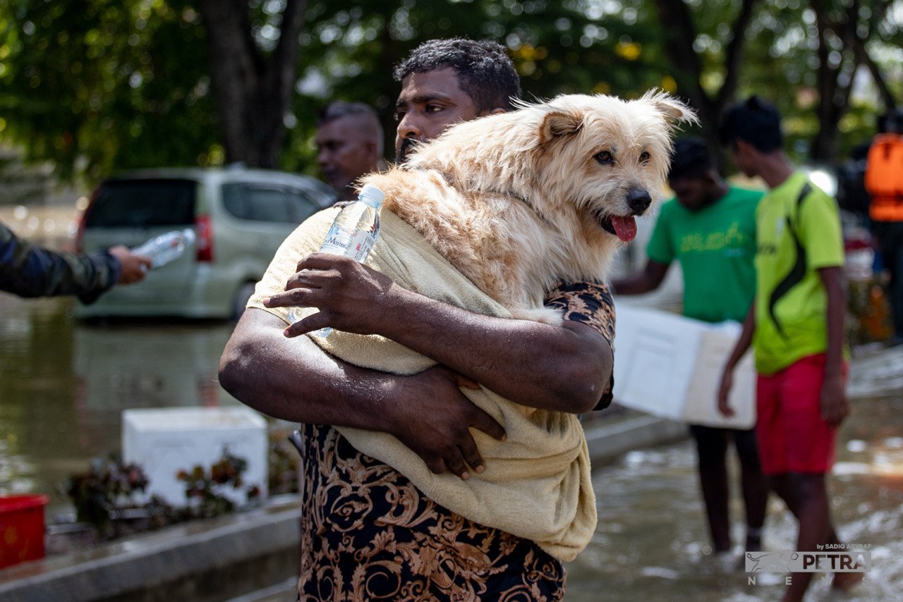 Seorang penduduk mendukung anjingnya untuk dipindahkan ke kawasan selamat di Taman Sri Muda, Seksyen 25, Shah Alam, hari ini.
