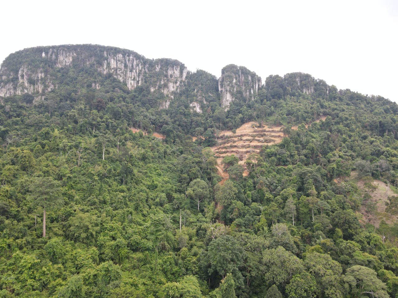 Keadaan di atas puncak Bukit Tabur yang menunjukkan kerja-kerja pembersihan hutan dijalankan hingga mencetuskan kemarahan orang ramai. - Gambar dari Facebook Peka