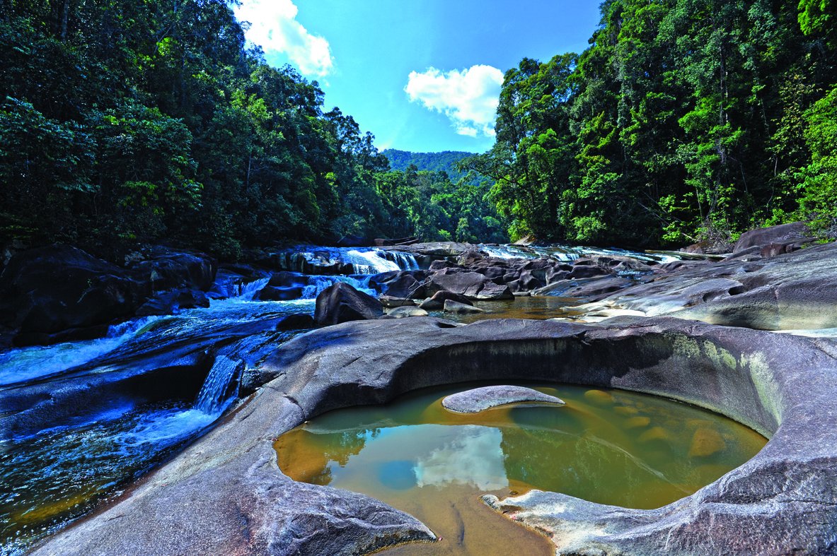 Taman Endau Rompin - Gambar ihsan Johor National Parks