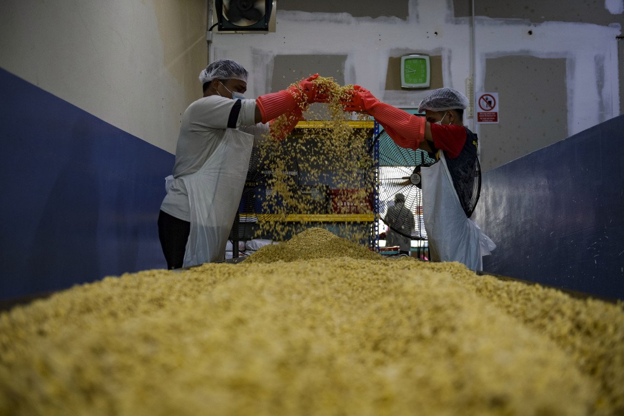 Pekerja melakukan proses menyejukkan kacang soya yang telah siap dimasak sebelum dicampur ragi untuk menghasilkan tempe