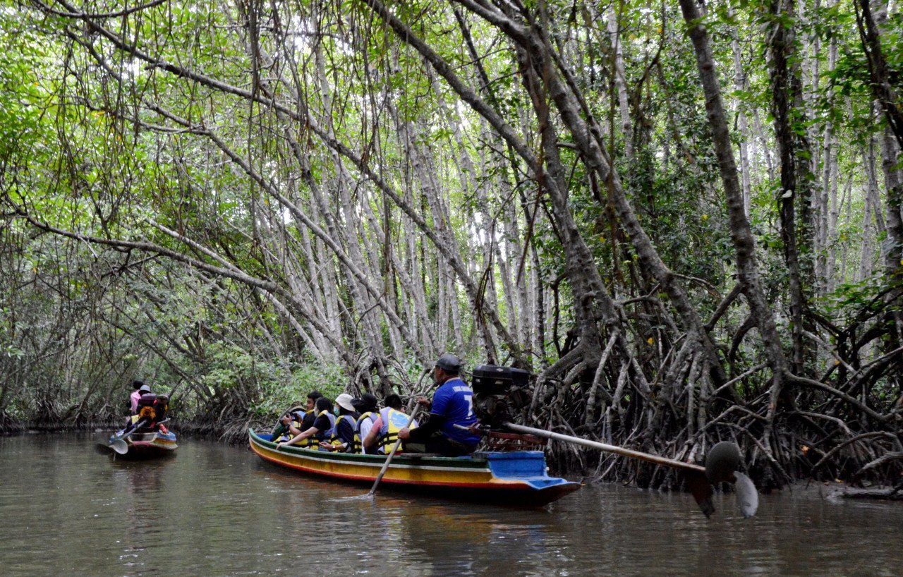 Ramai yang terpesona dengan keindahan hutan bakau di daerah Yaring di Pattani, Thailand. - Gambar Bernama