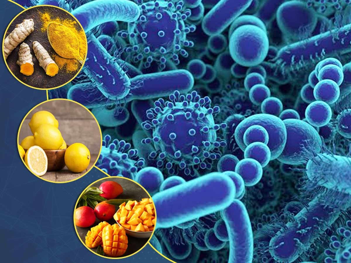 Terdapat beberapa jenis bakteria yang menjadi penyebab kepada keracunan makanan - Gambar ihsan Hospital Columbia Asia, Setapak 