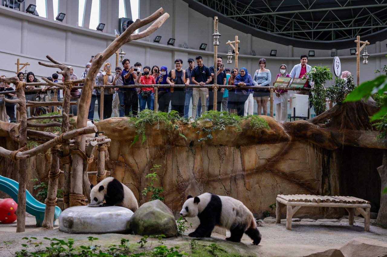 Zoo Negara istimewa kerana turut memiliki Pusat Konservasi dan Pameran Panda Gergasi. - Gambar Bernama