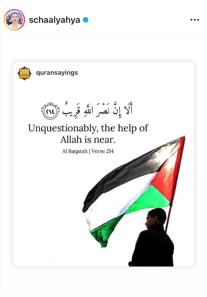 Antara perkongsian mengenai Palestin di Instagramnya
