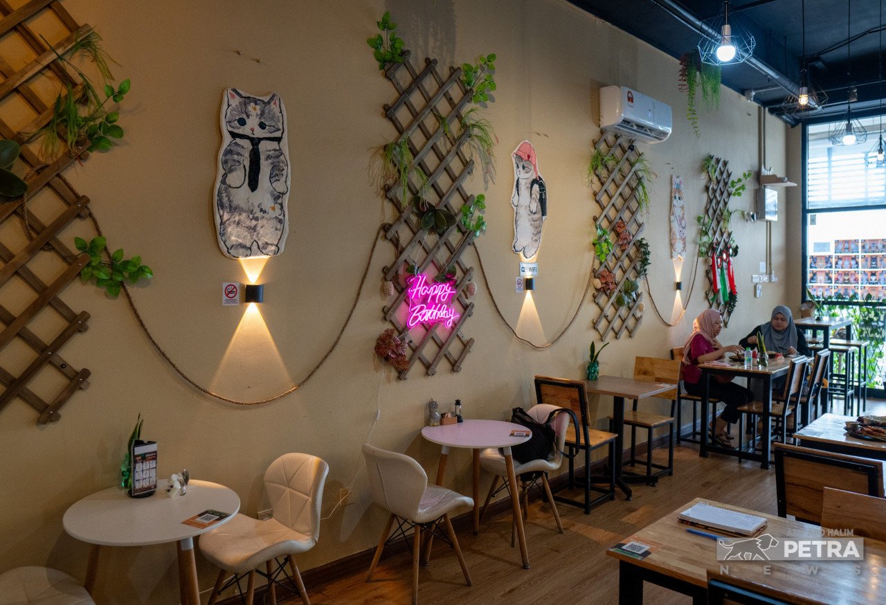 Reka bentuk ruang makan di Yugi Cats Café