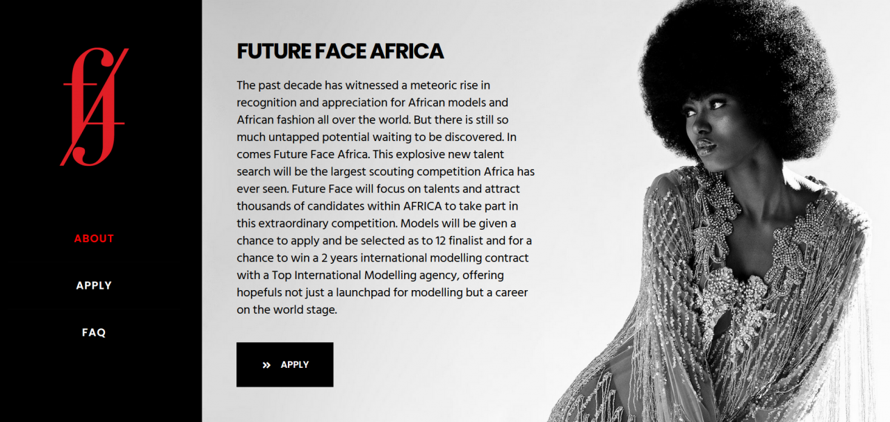 Tangkapan layar laman web Future Face Africa
