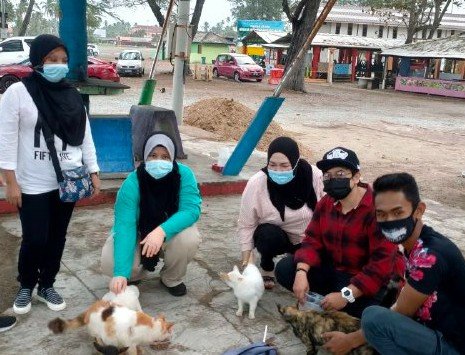 Pertubuhan Kebajikan Haiwan Kota Bharu memberi makan pada kucing liar sekitar Kota Bharu