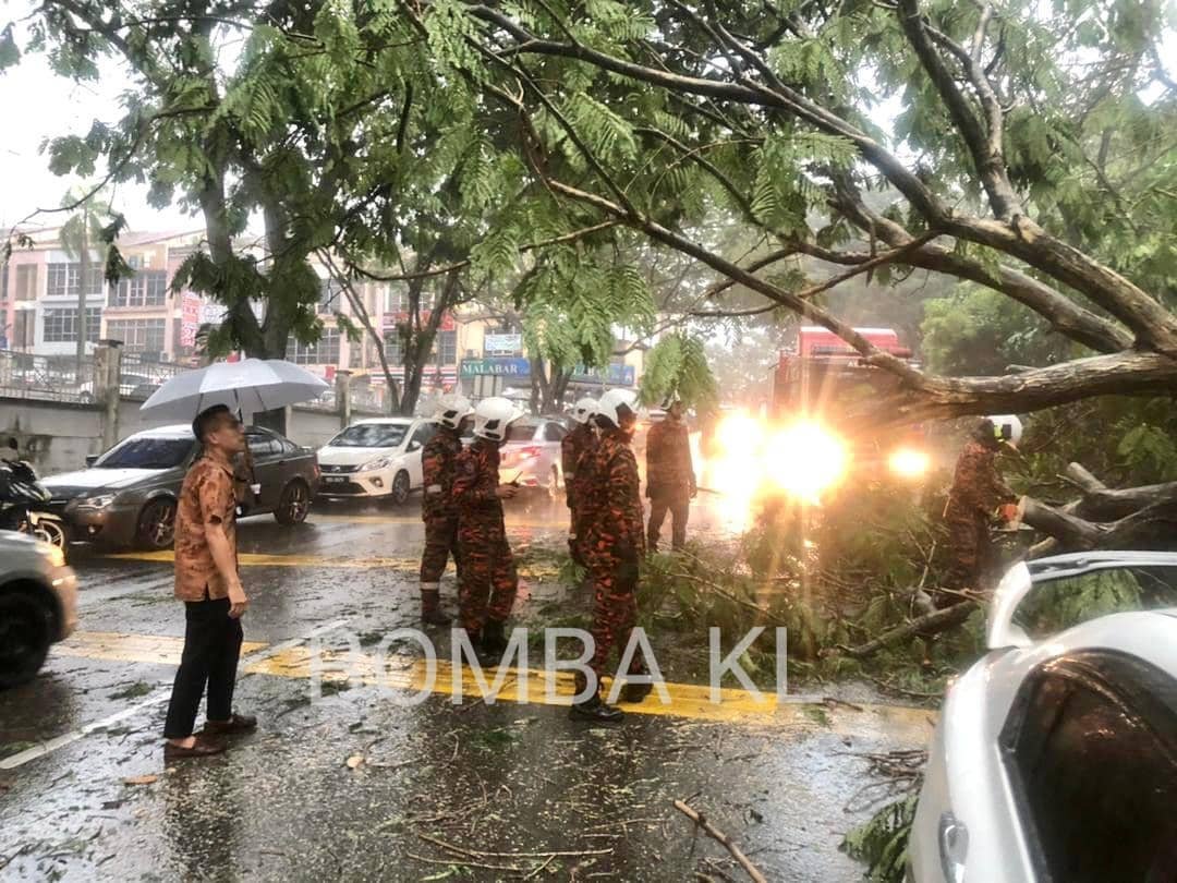 Anggota Bomba membantu mengalihkan pokok tumbang susulan hujan lebat di sekitar Kuala Lumpur, petang tadi. - Gambar Bomba KL