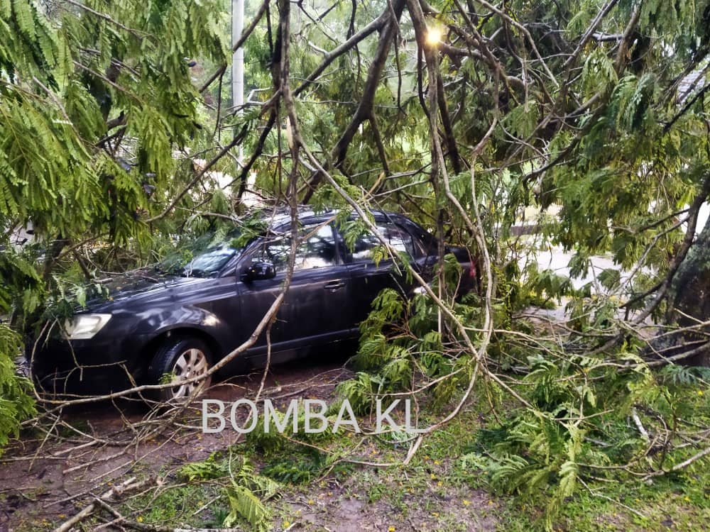 Sebatang pokok menghempap sebuah kereta selepas hujan lebat di ibu negara, petang tadi. - Gambar dari Bomba KL