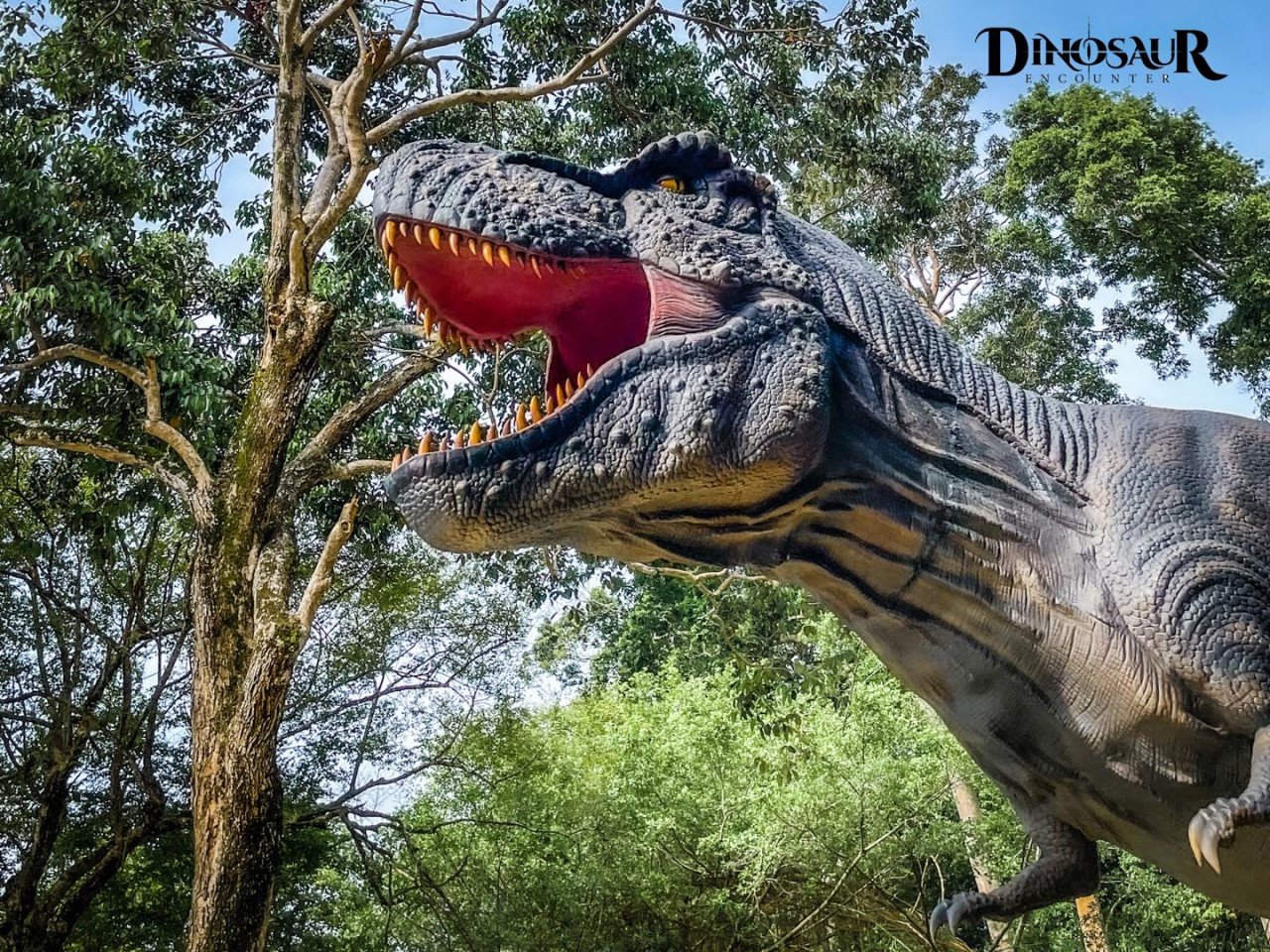 Gambar: Facebook Dinosaur Encounter