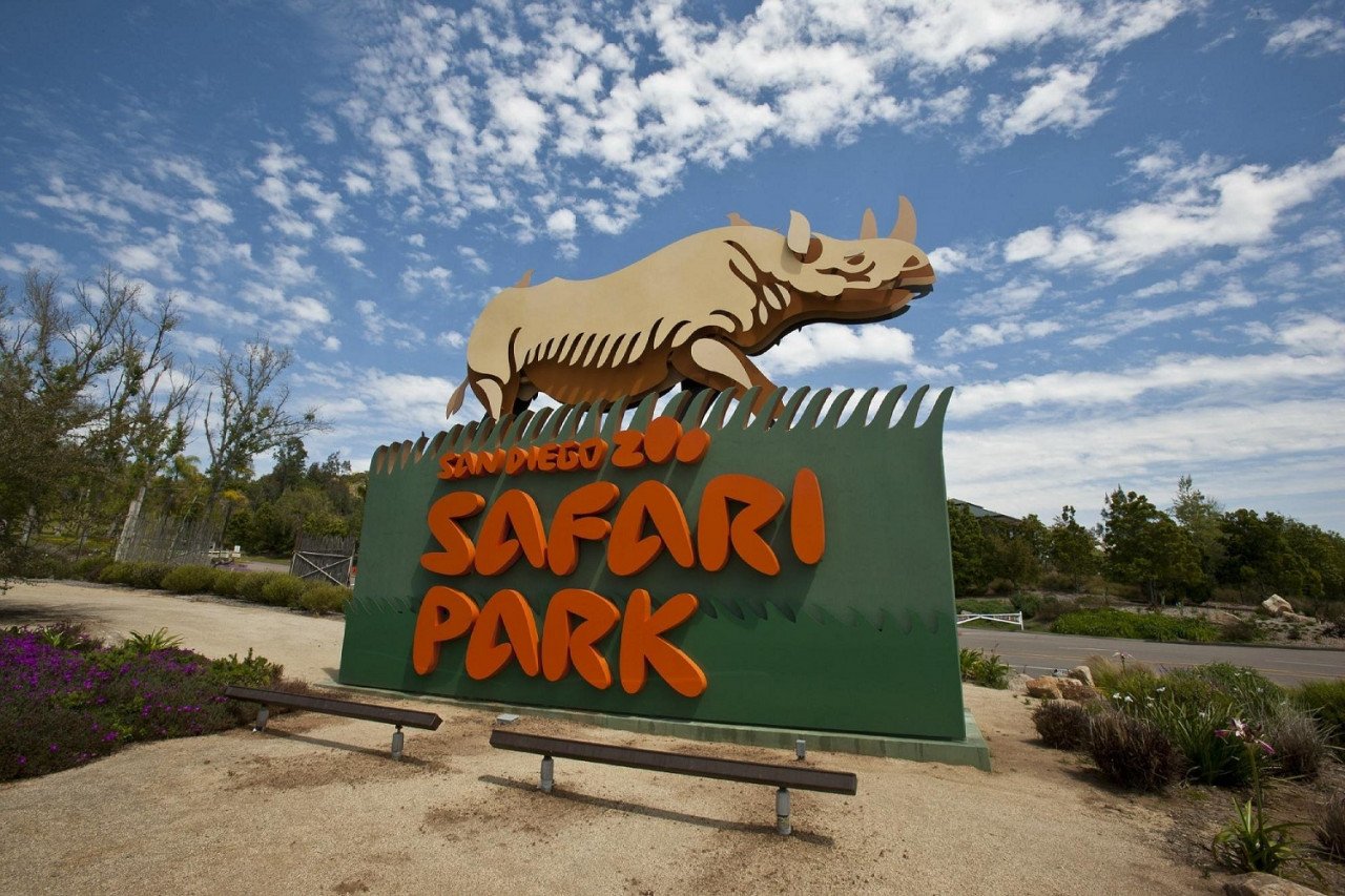 Taman Safari San Diego. gambar TripAdvisor