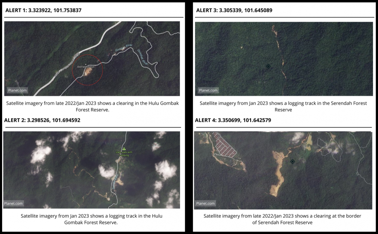 Imej satelit bertarikh dari akhir tahun 2022 hingga Januari tahun ini, yang menunjukkan penebangan hutan di kawasan hutan simpan Hulu Gombak dan Sedinding.