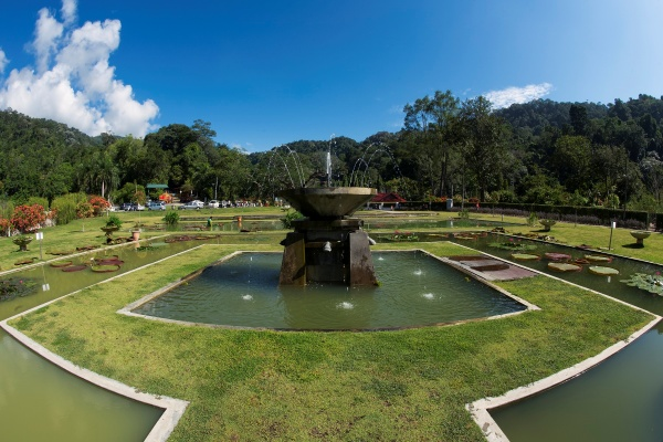 Taman Botani Pulau Pinang. Gambar: Bernama