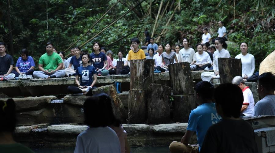 Sebahagian daripada peserta sebuah program meditasi melakukan 'Terapi Hutan' atau 'Forest Bathing'. - gambar Phwah You Yang