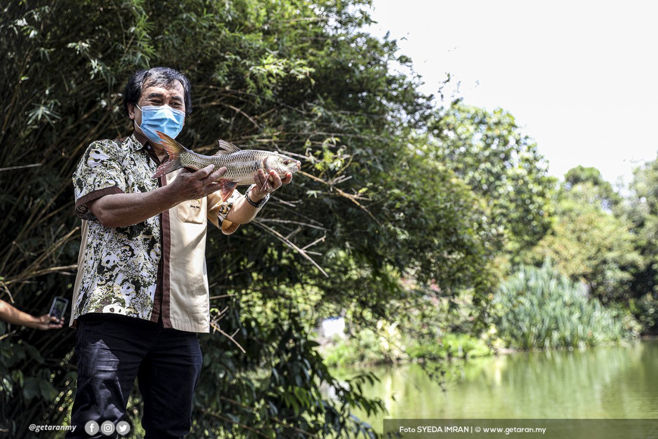 Rosly Ahmad memegang ikan yang terdapat di kolam pancing di Tasik Tunku Abdul Rahman.