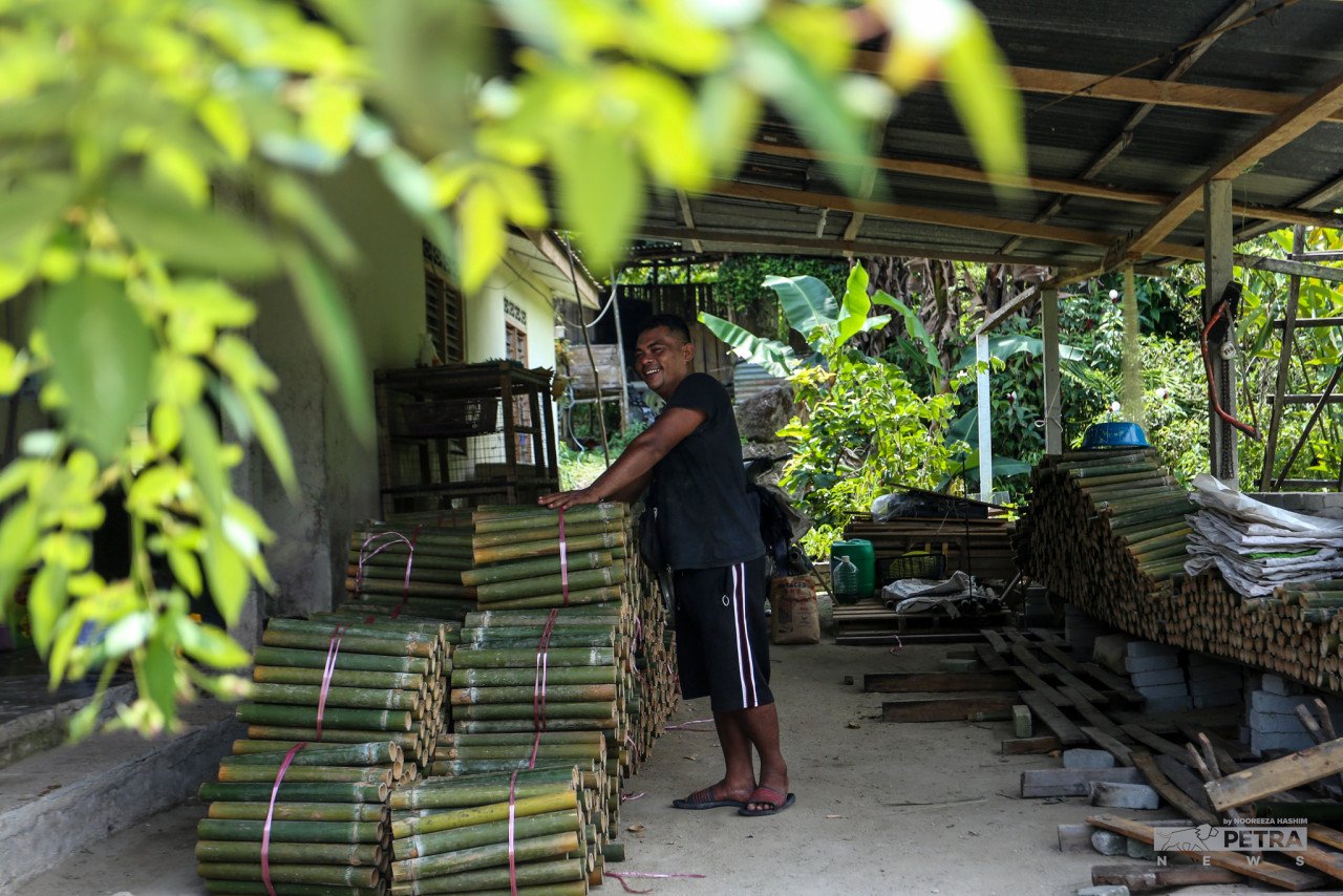 Tahun ini, Aras Jumi berjaya menjual lebih 800,000 batang buluh lemang.