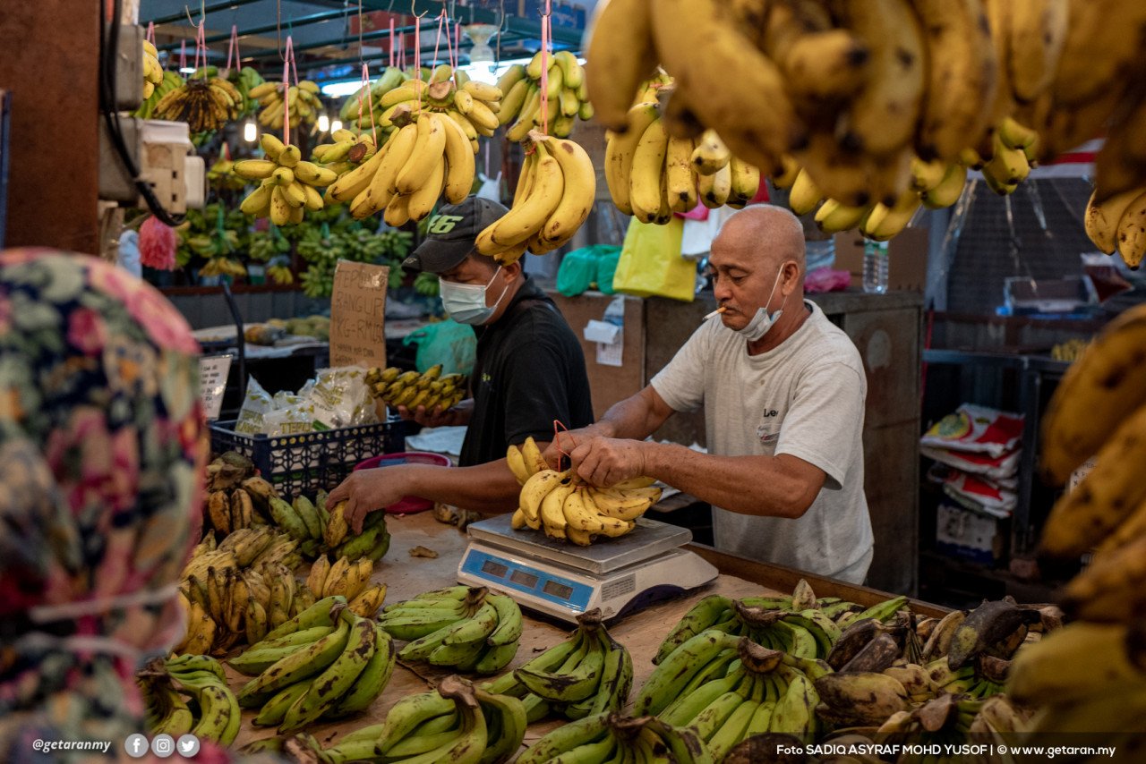 Peniaga pisang ini sedang menyusun pisang sambil menunggu kedatangan pelanggan di gerainya di dalam Pasar Jalan Raja Bot.