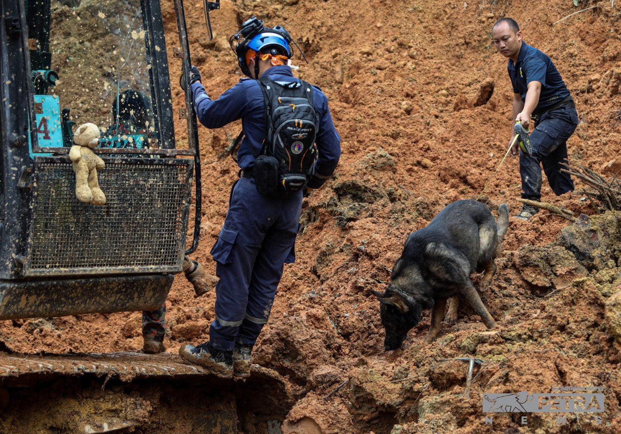 Anggota penyelamat menggunakan anak patung beruang yang dipercayai milik mangsa kanak-kanak tragedi tanah runtuh di Batang Kali sebagai motivasi dalam misi menyelamat. - Gambar oleh Sarien Nafis