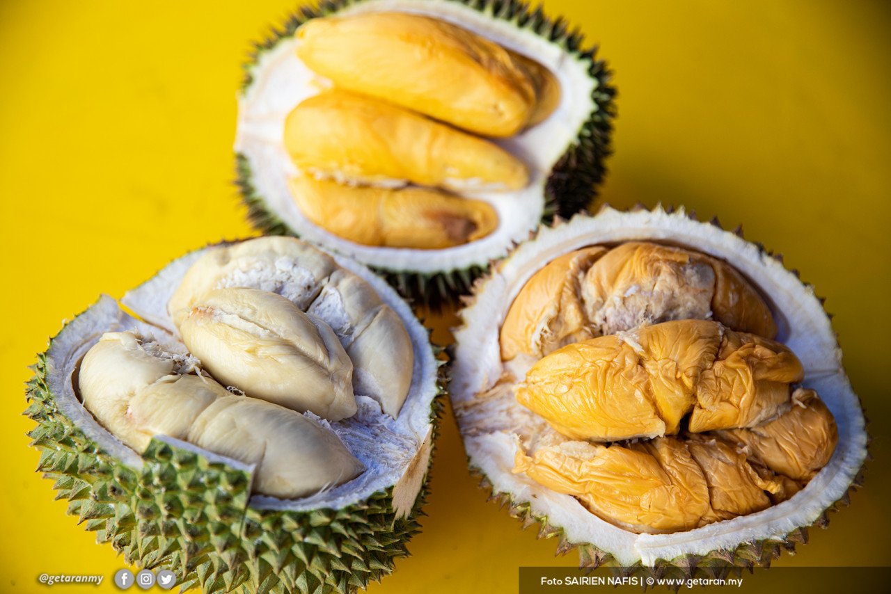 Duta Austria ke China Andreas Riecken mendapati produk berasaskan durian seperti aiskrim dan tiramisu sangat sedap dan unik serta harus dicuba - Gambar Hiasan
