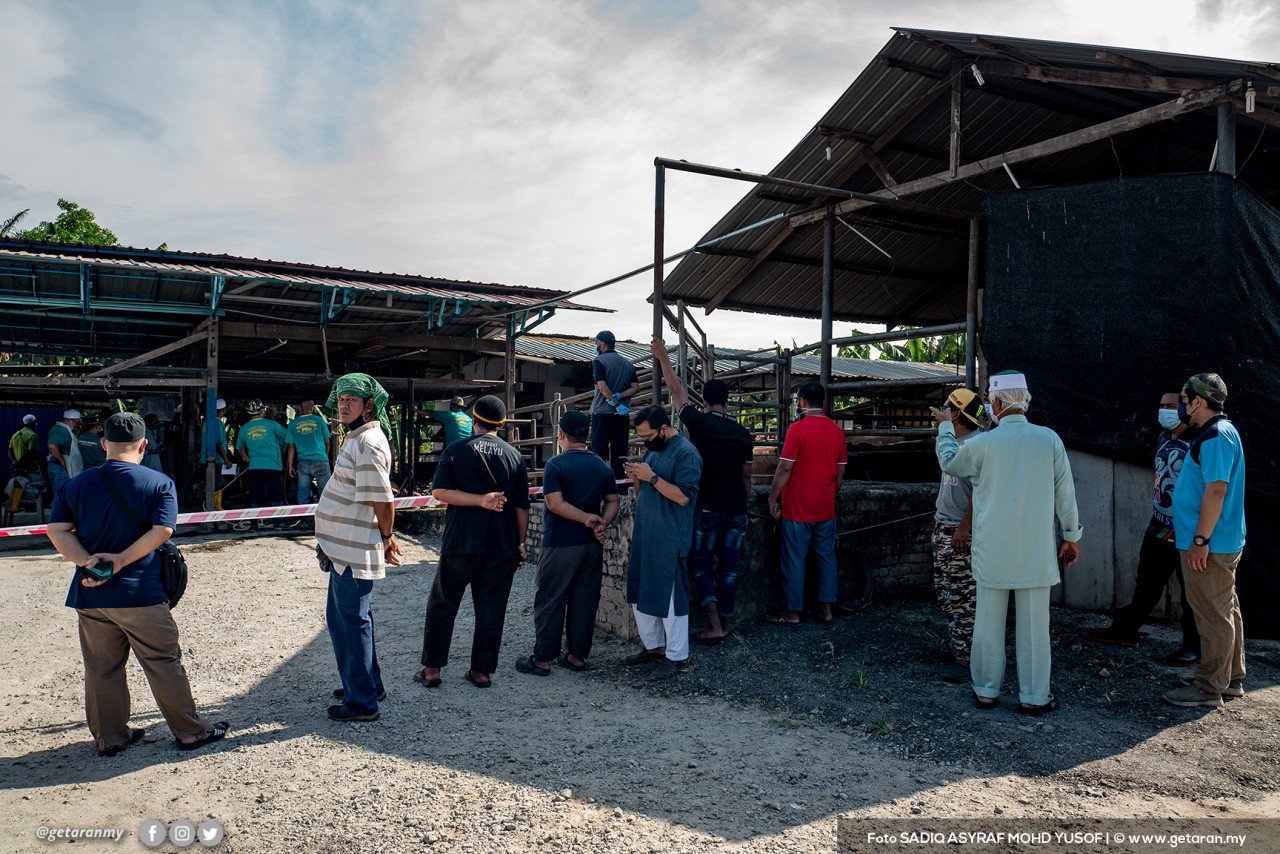 Wakil masjid dan pemilik haiwan menunggu lembu mereka disembelih. 