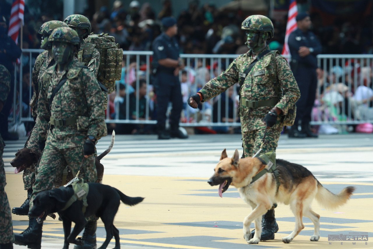 Khidmat anjing turut digunakan oleh pasukan keselamatan dan pertahanan negara