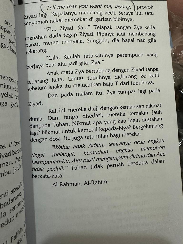 Antara babak lucah yang terkandung dalam novel berkenaan - gambar X