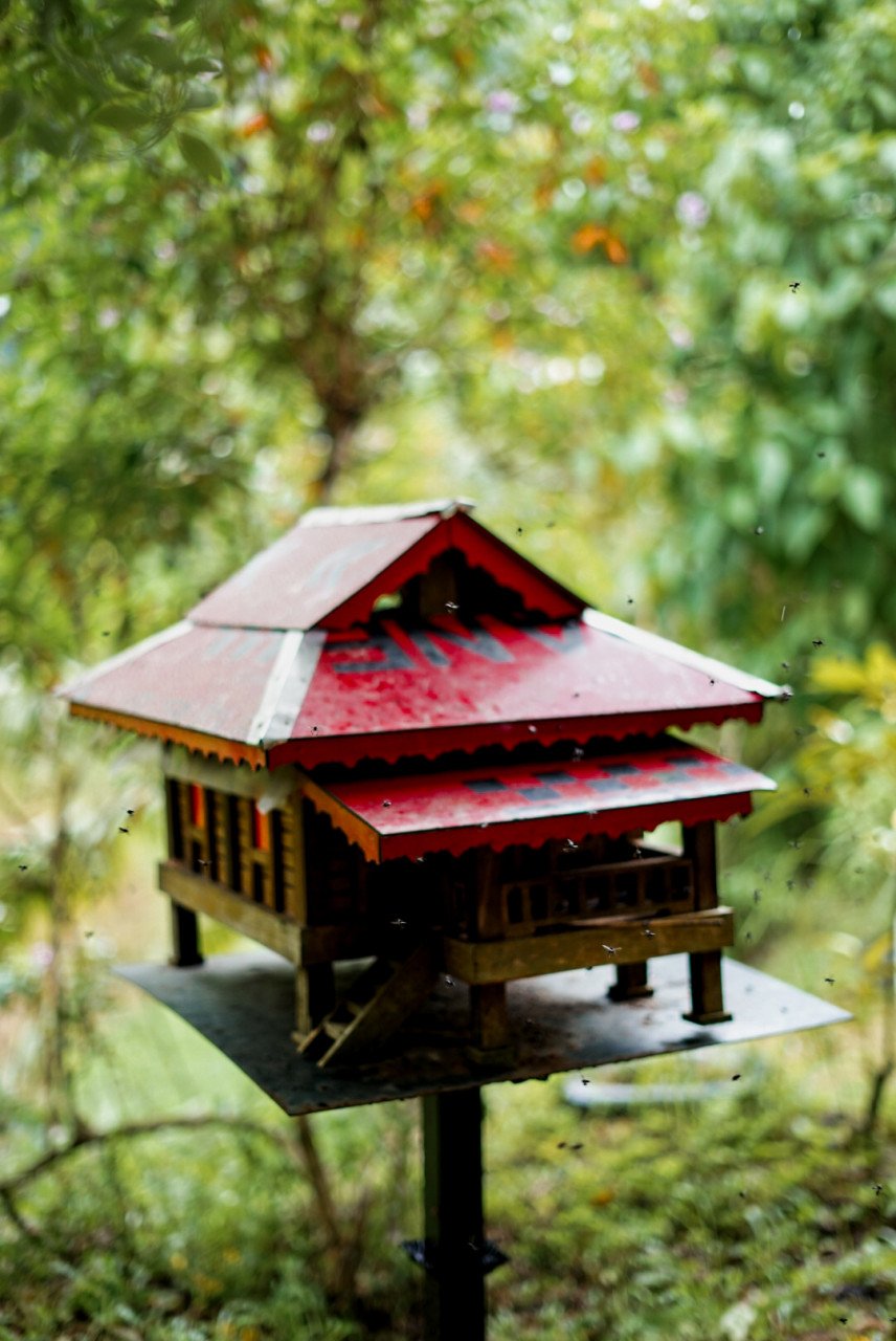 Antara blok lebah kelulut yang dibina seperti rumah tradisional