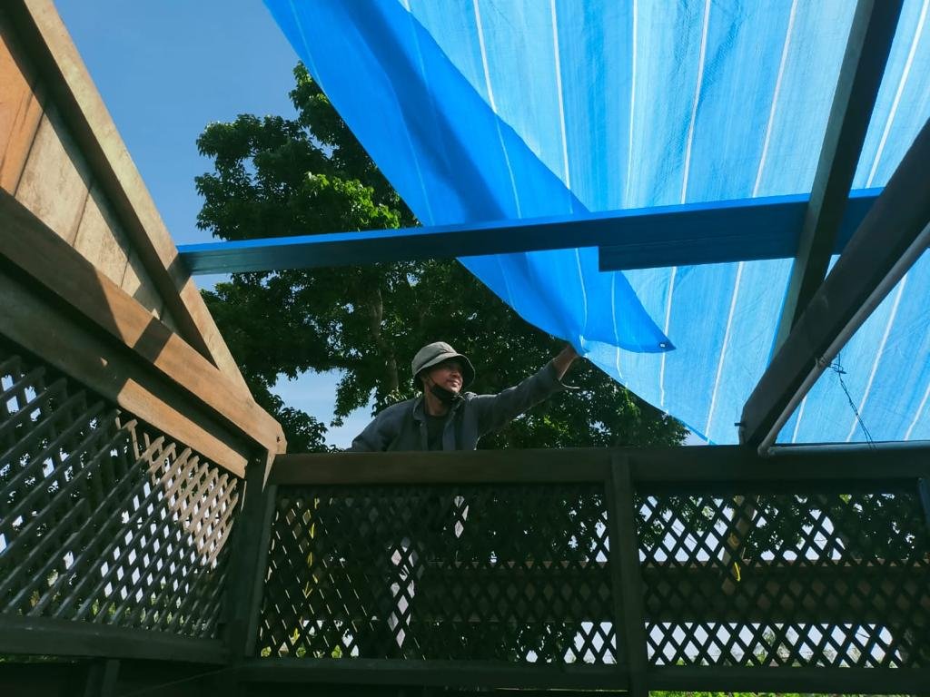 Penduduk Kampung Telaga Batu, Mohd Nazri Zainol menutup bumbung rumahnya dengan menggunakan plastik kanvas buat sementara waktu bagi berteduh dari hujan.