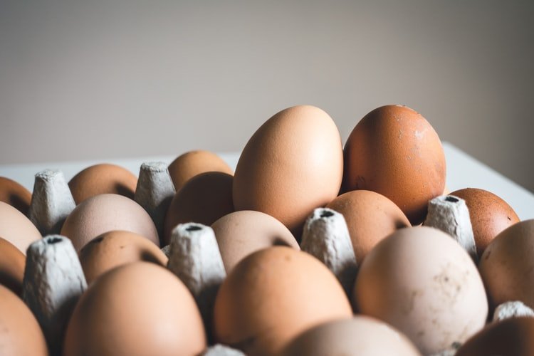 Telur juga sumber protein yang berkhasiat